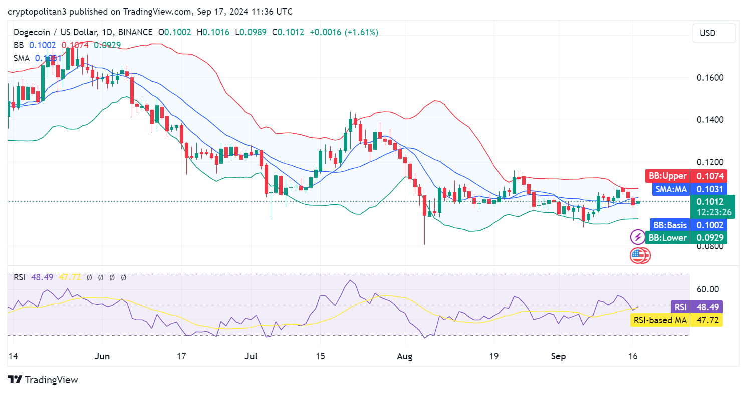 Dogecoin price prediction 2024-2030: DOGE to the moon?