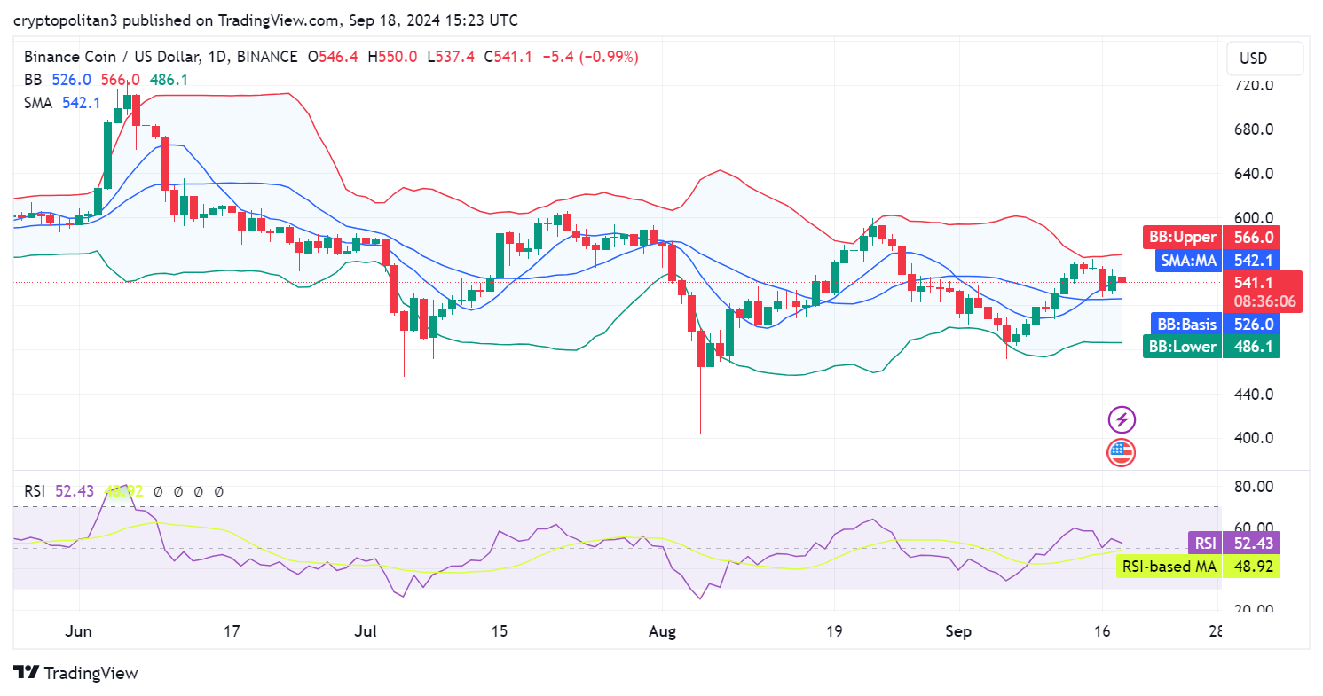 Binance coin price prediction 2024-2030: Is BNB ready for the bull run?