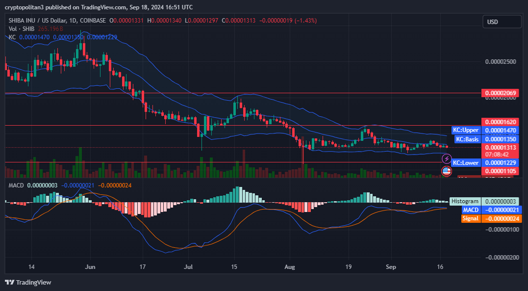Shiba Inu coin price prediction 2024-2030: Is SHIB skyrocketing soon? 4 1726683669 785 Shiba Inu coin price prediction 2024 2030 Is SHIB skyrocketing soon
