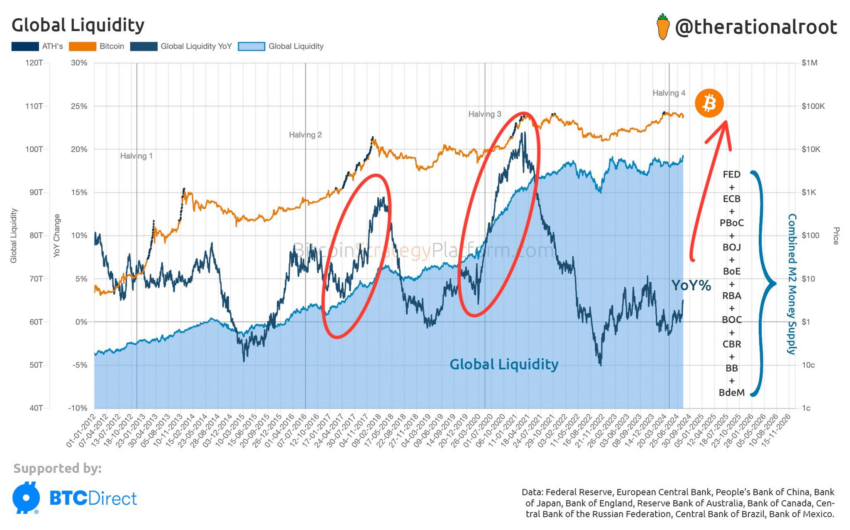 Is Global Liquidity What Bitcoin Needs to Reach $100,000? 2 Global Liquidity Spikes and Bitcoin