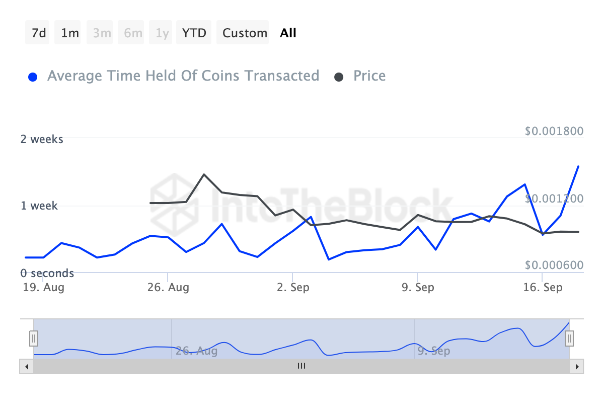 Can DOGS Price Continue to Jump After Major Exchange Listings? 3 DOGS Coins Holding Time.