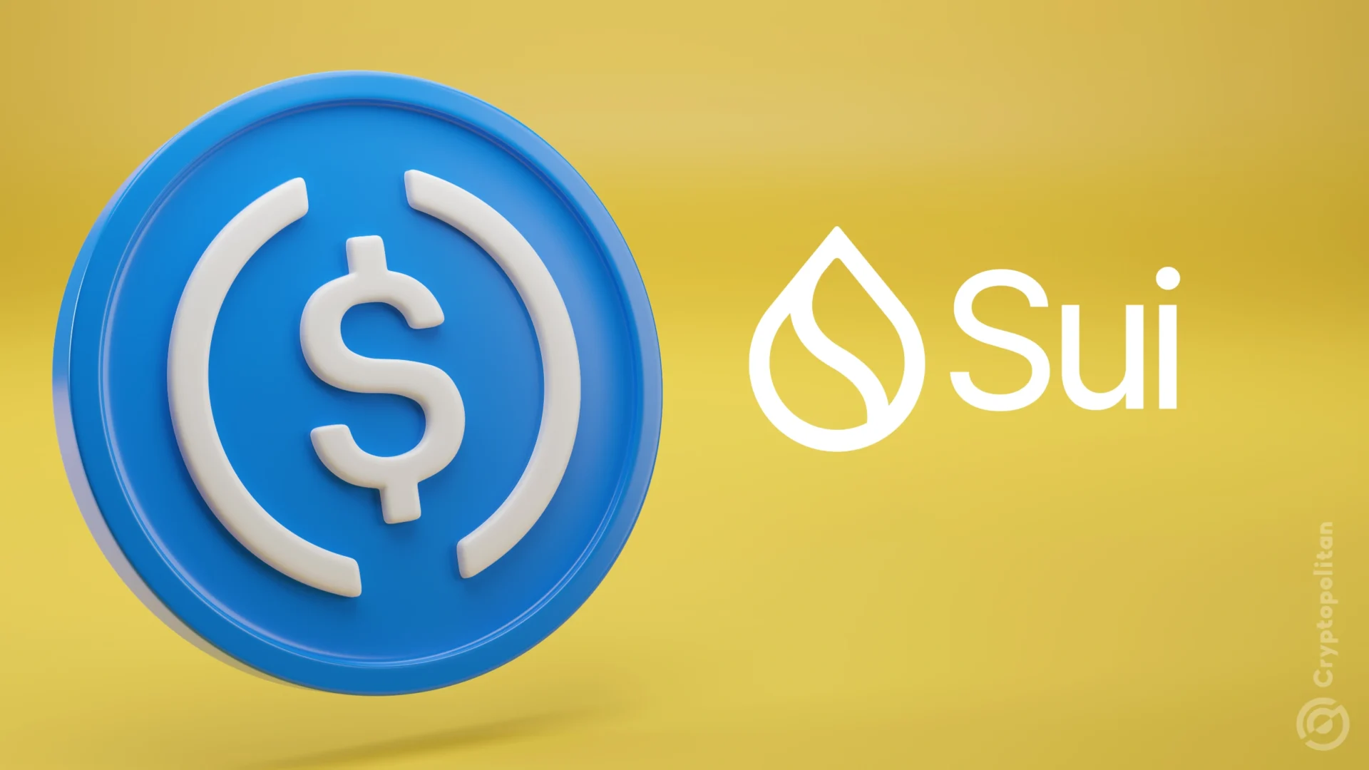 Jeremy Allaire: Circle’s native USDC to launch on the SUI ecosystem