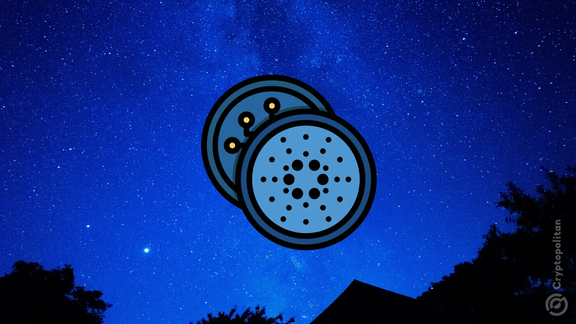 Midnight’s privacy chain launch could jump start Cardano adoption, insiders predict