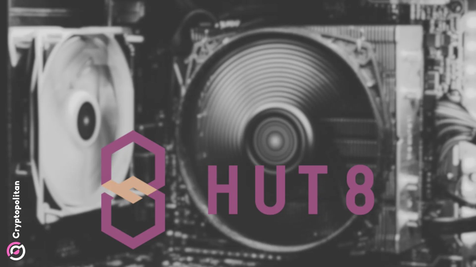 hut 8