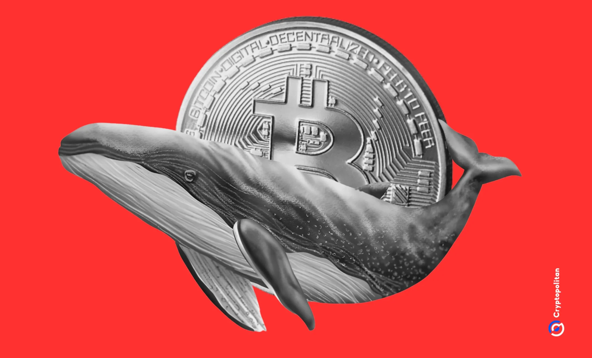 Hyperliquid Bitcoin whale lost $120M positions since the BTC crash from $66,000