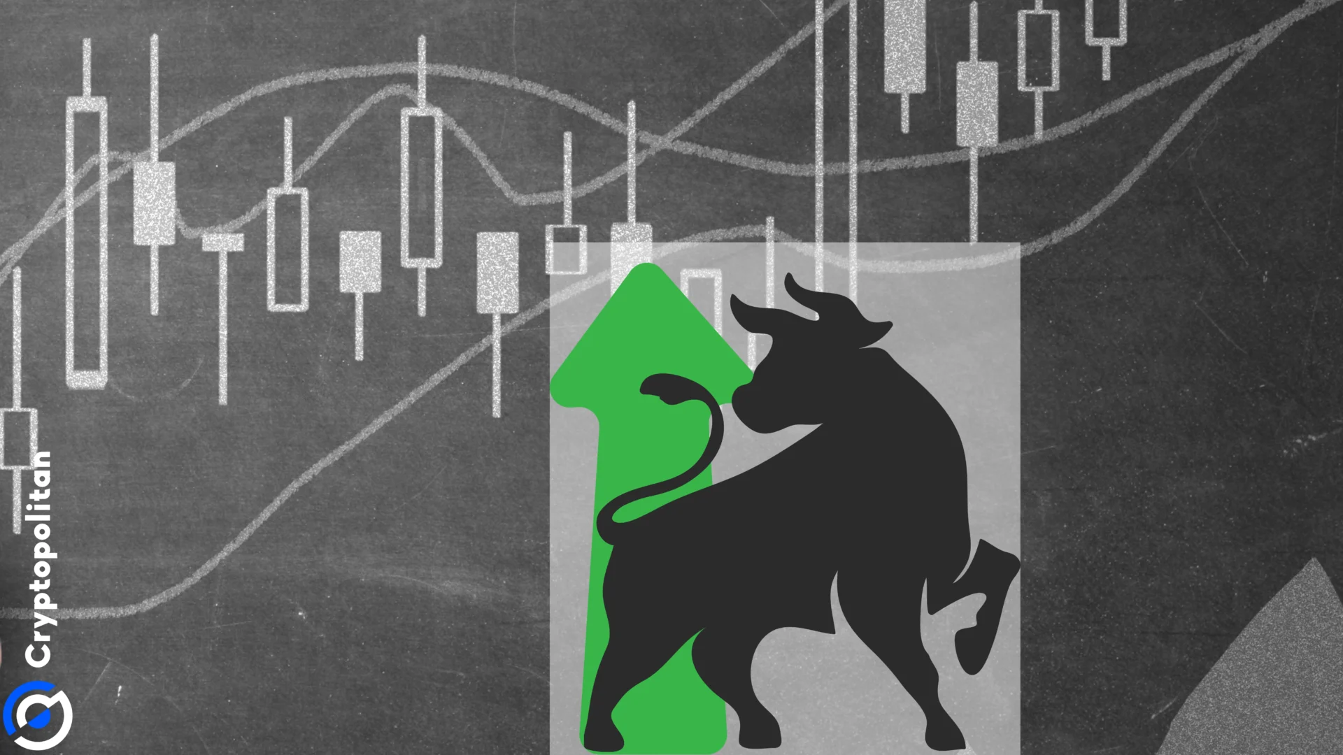 Largest Bitcoin outflow since 2022 sparks renewed optimism for October rally