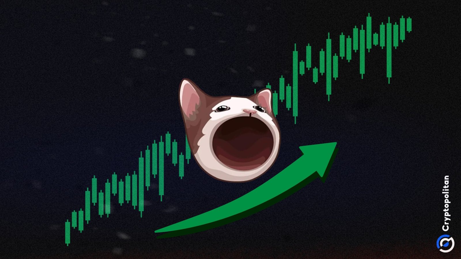 POPCAT crosses LidoFinance in market cap, are memecoins ready to boom?