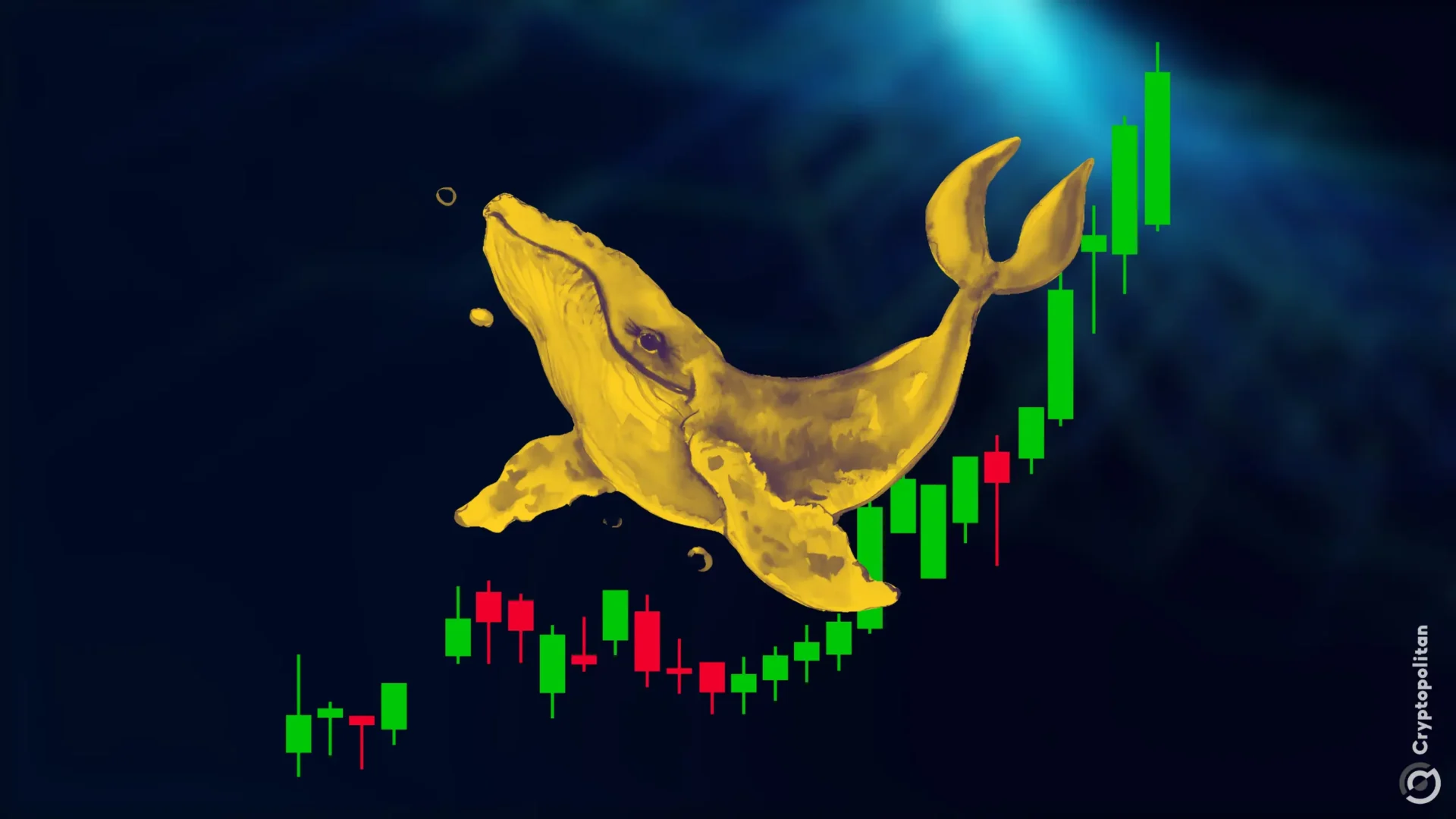 Santiment: Uptober is here, what coins are whales buying?