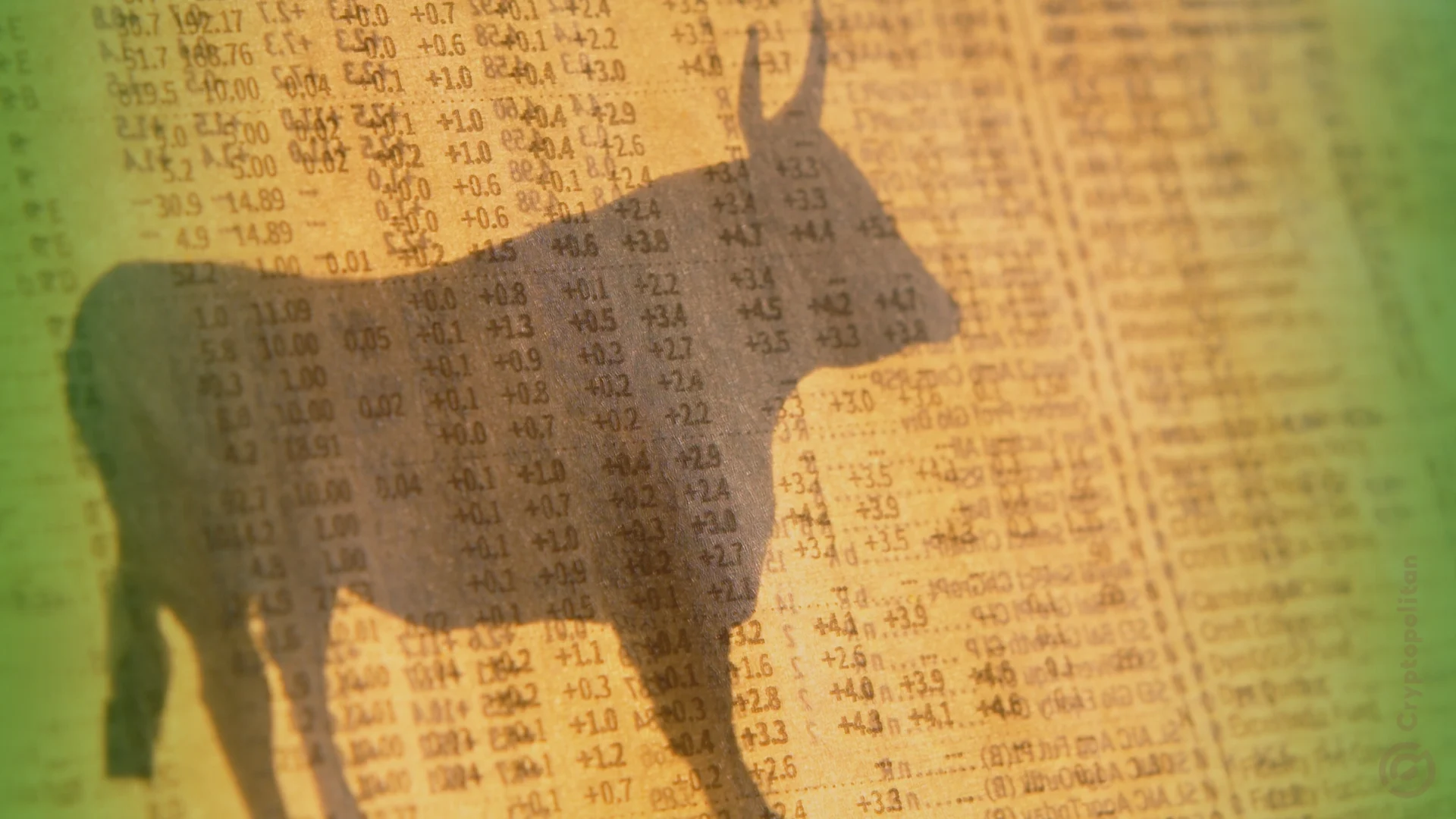 We're looking at the weirdest crypto bull run of all time