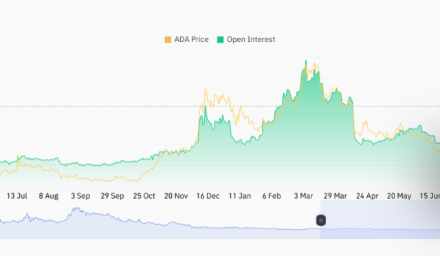 Cardano surges 76% as whale activity hits new highs, setting stage for potential rally