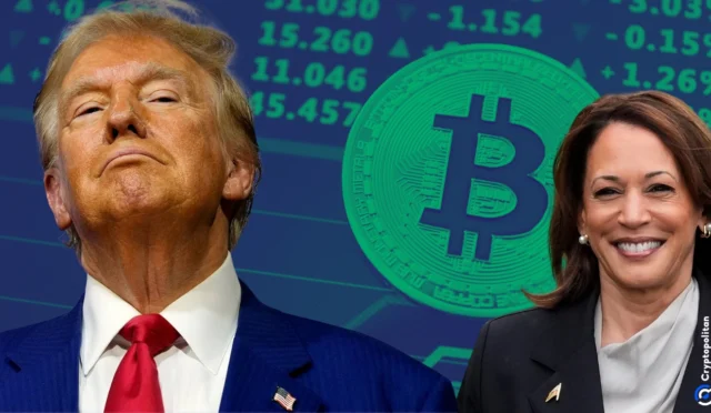 Bitcoin hits new all time high of $75,242 as Trump takes an early lead on election day