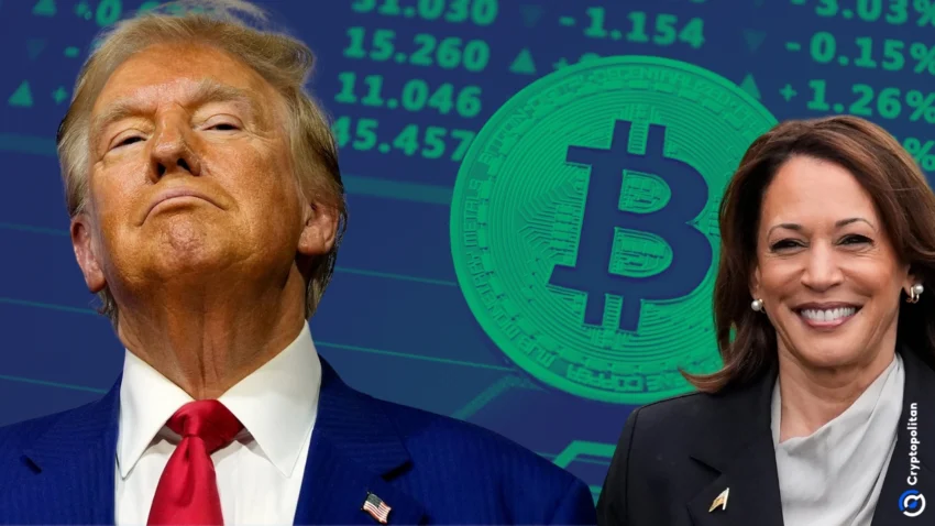 Bitcoin hits new all time high of $75,242 as Trump takes an early lead on election day