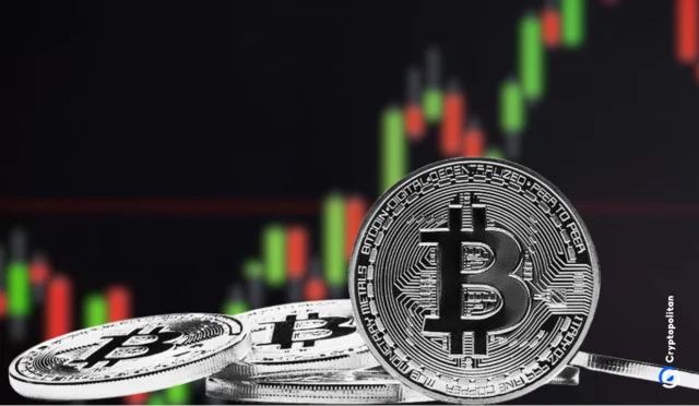 CryptoQuant CEO makes shocking Bitcoin price prediction