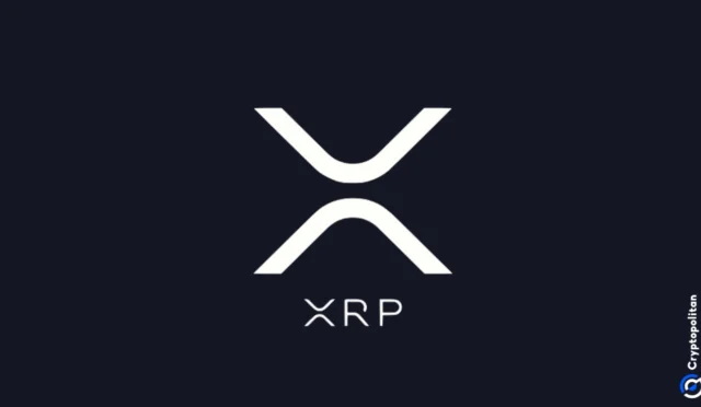 Ripple CEO discusses XRP’s future in the evolving crypto space